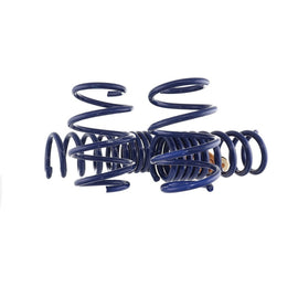 Ford Racing 15-23 Mustang GT/2.3L EcoBoost Fastback Track Lowering Spring Kit (Excl MagneRide Susp)