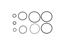 Load image into Gallery viewer, Photo - Primary