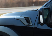 Load image into Gallery viewer, Photo - Mounted