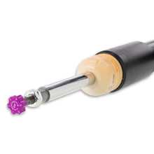 Load image into Gallery viewer, User 5