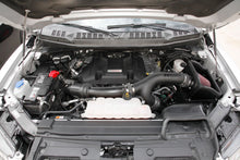 Load image into Gallery viewer, Photo - Mounted