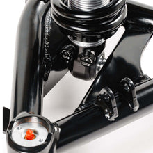 Load image into Gallery viewer, Photo - Close Up