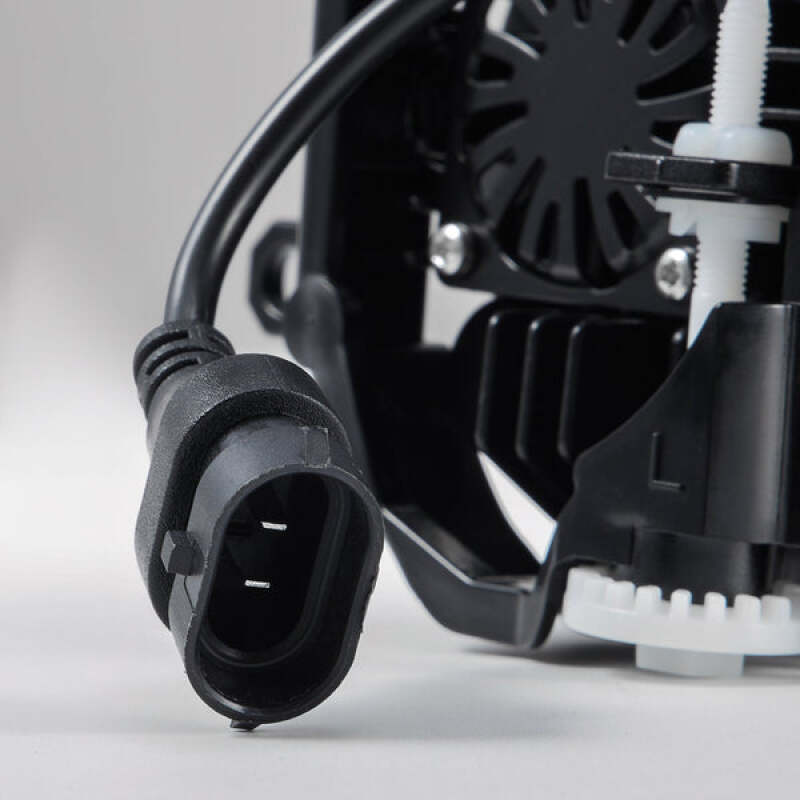 Photo - Primary