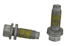 Load image into Gallery viewer, Photo - Unmounted