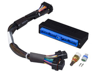 Load image into Gallery viewer, Haltech Elite 1000/1500 Plug-n-Play Adaptor Harness