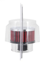 Load image into Gallery viewer, Photo - in package