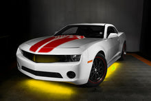 Load image into Gallery viewer, Photo - lifestyle view