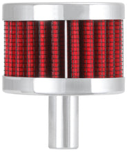 Load image into Gallery viewer, Photo - Primary