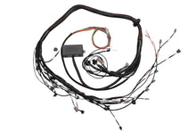 Load image into Gallery viewer, Haltech Elite 2000/2500 Terminated Engine Harness