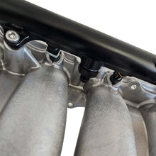 Load image into Gallery viewer, User 1