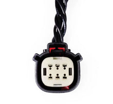 Load image into Gallery viewer, User 3