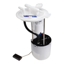 Load image into Gallery viewer, Photo - Primary