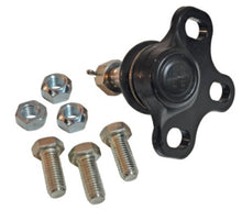 Load image into Gallery viewer, User 1